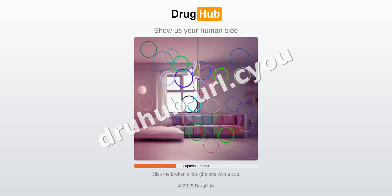 Druhub Market interface — view 2